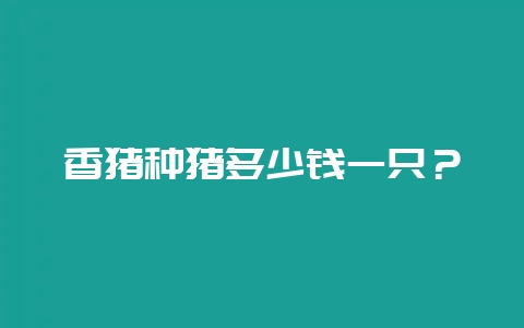 香猪种猪多少钱一只？-会东网