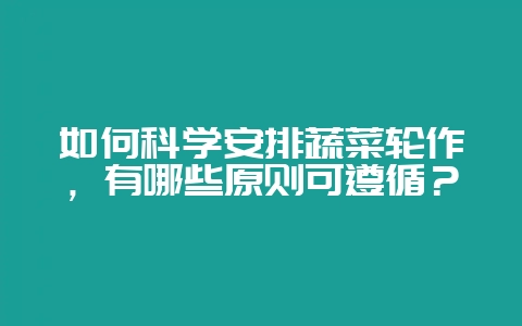 如何科学安排蔬菜轮作，有哪些原则可遵循？-会东网