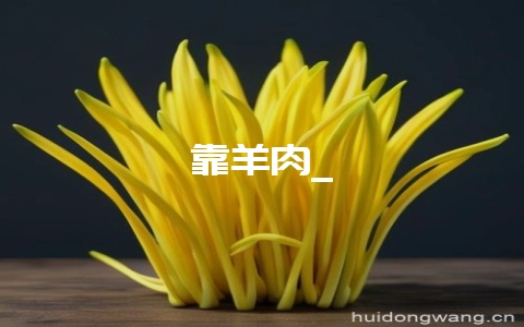 靠羊肉_-会东网