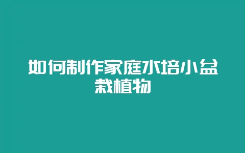 如何制作家庭水培小盆栽植物-会东网