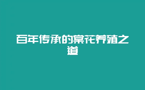 百年传承的棠花养殖之道-会东网