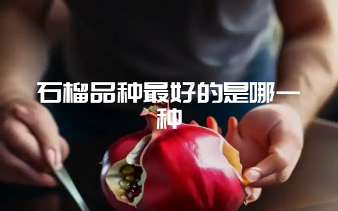 石榴品种最好的是哪一种-会东网