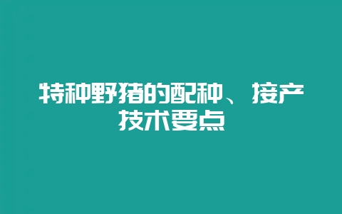 特种野猪的配种、接产技术要点插图 特种野猪的配种、接产技术要点插图