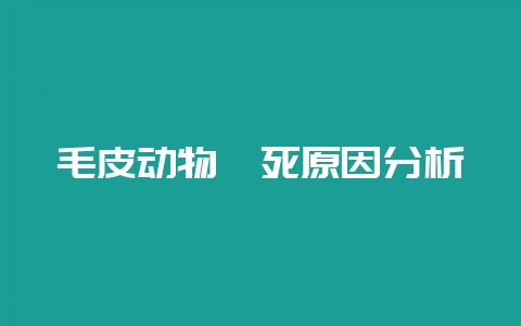 毛皮动物猝死原因分析-会东网