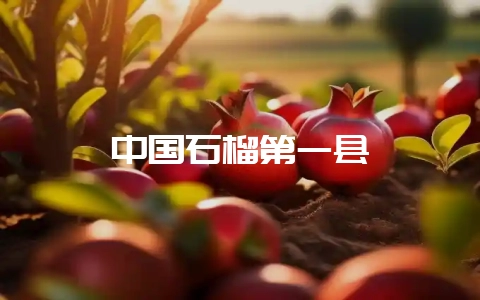 中国石榴第一县-会东网