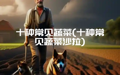十种常见蔬菜(十种常见蔬菜沙拉)-会东网