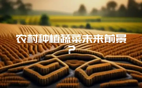 农村种植蔬菜未来前景？-会东网