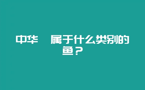 中华鲟属于什么类别的鱼？-会东网