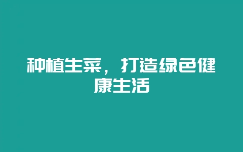 种植生菜，打造绿色健康生活-会东网