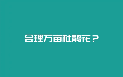 会理万亩杜鹃花？-会东网