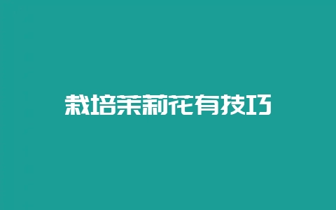 栽培茉莉花有技巧-会东网