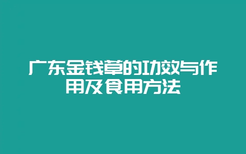 广东金钱草的功效与作用及食用方法-会东网