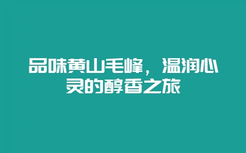 品味黄山毛峰，温润心灵的醇香之旅-会东网