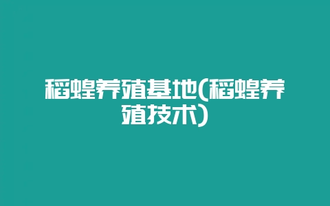 稻蝗养殖基地(稻蝗养殖技术)-会东网