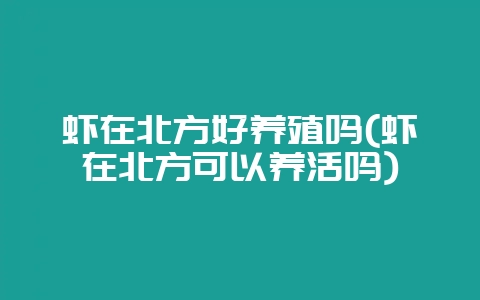 虾在北方好养殖吗(虾在北方可以养活吗)-会东网