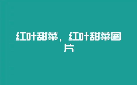 红叶甜菜，红叶甜菜图片-会东网