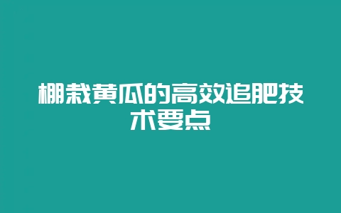 棚栽黄瓜的高效追肥技术要点插图 棚栽黄瓜的高效追肥技术要点插图