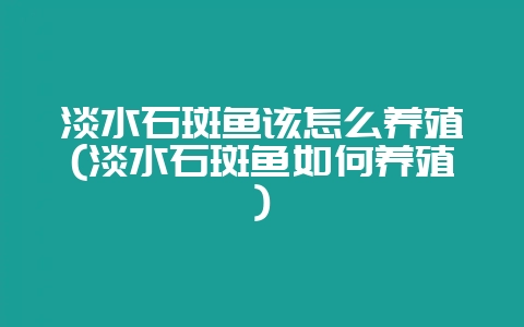 淡水石斑鱼该怎么养殖(淡水石斑鱼如何养殖)-会东网