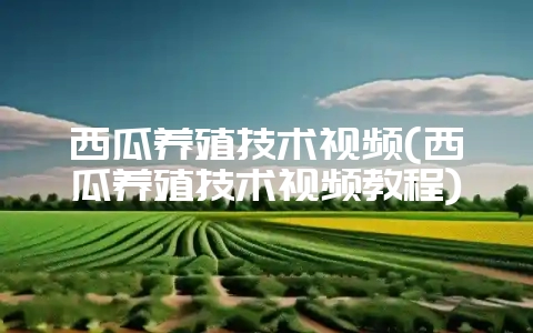 西瓜养殖技术视频(西瓜养殖技术视频教程)-会东网