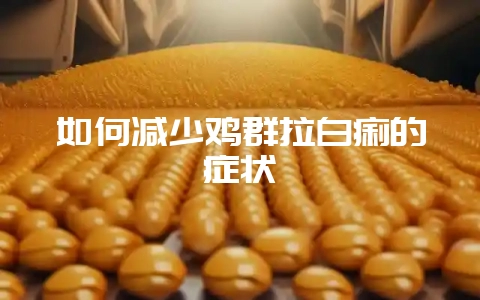 如何减少鸡群拉白痢的症状-会东网
