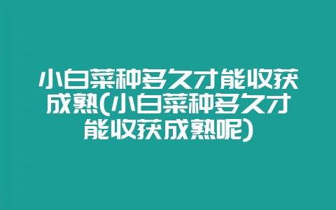 小白菜种多久才能收获成熟(小白菜种多久才能收获成熟呢)-会东网