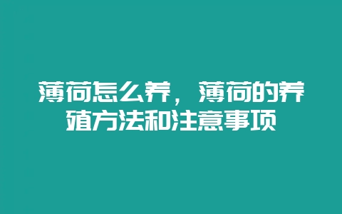 薄荷怎么养，薄荷的养殖方法和注意事项-会东网