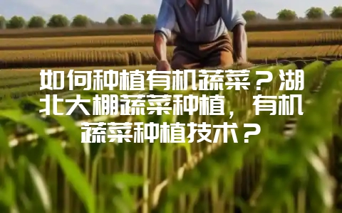 如何种植有机蔬菜？湖北大棚蔬菜种植，有机蔬菜种植技术？插图