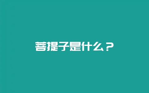 菩提子是什么？-会东网
