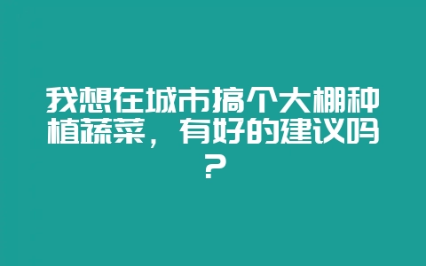 我想在城市搞个大棚种植蔬菜，有好的建议吗？-会东网