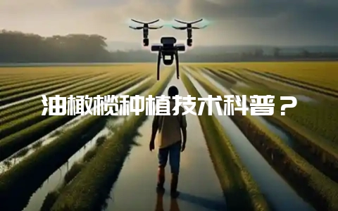 油橄榄种植技术科普？-会东网