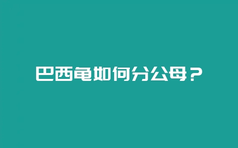 巴西龟如何分公母？-会东网