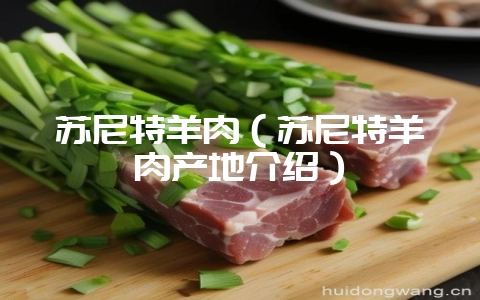 苏尼特羊肉（苏尼特羊肉产地介绍）-会东网