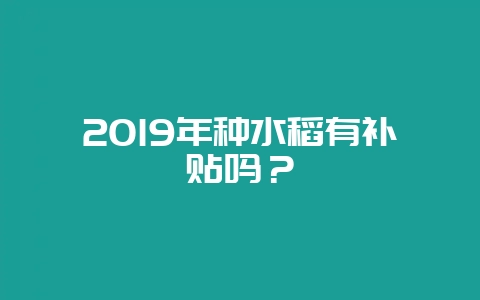 2019年种水稻有补贴吗?插图 2019年种水稻有补贴吗?插图
