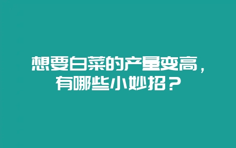 想要白菜的产量变高，有哪些小妙招？-会东网