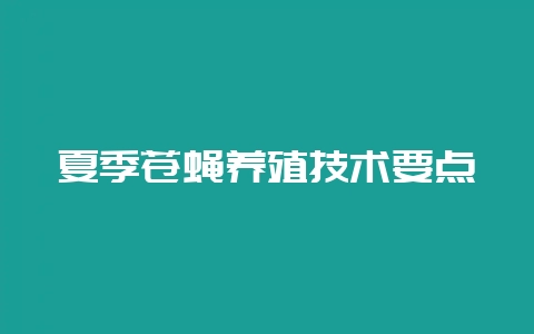 夏季苍蝇养殖技术要点插图 夏季苍蝇养殖技术要点插图