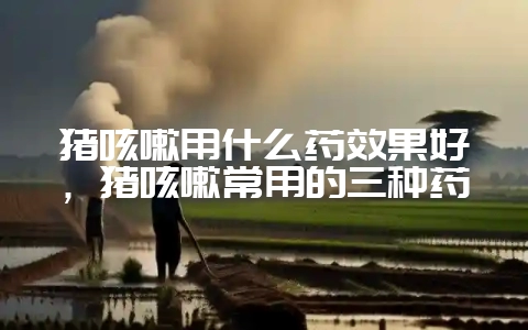猪咳嗽用什么药效果好，猪咳嗽常用的三种药-会东网
