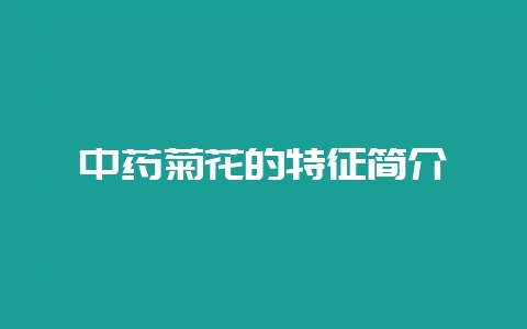 中药菊花的特征简介-会东网