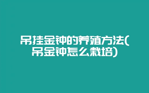吊挂金钟的养殖方法(吊金钟怎么栽培)-会东网