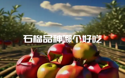 石榴品种哪个好吃-会东网