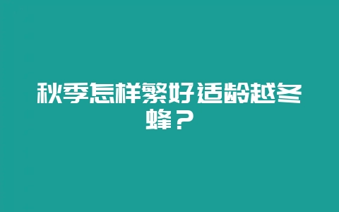 秋季怎样繁好适龄越冬蜂?插图 秋季怎样繁好适龄越冬蜂?插图
