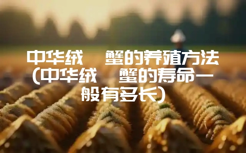 中华绒螯蟹的养殖方法(中华绒螯蟹的寿命一般有多长)-会东网