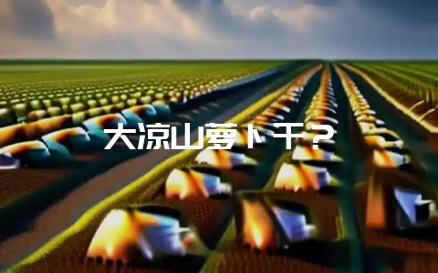 大凉山萝卜干？-会东网