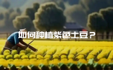 如何种植紫色土豆?插图 如何种植紫色土豆?插图