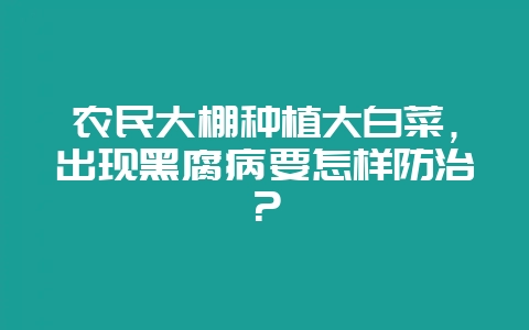 农民大棚种植大白菜，出现黑腐病要怎样防治？-会东网