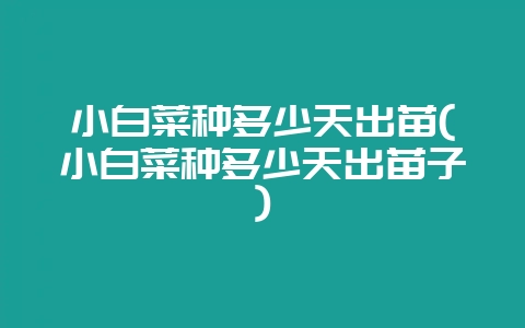 小白菜种多少天出苗(小白菜种多少天出苗子)-会东网