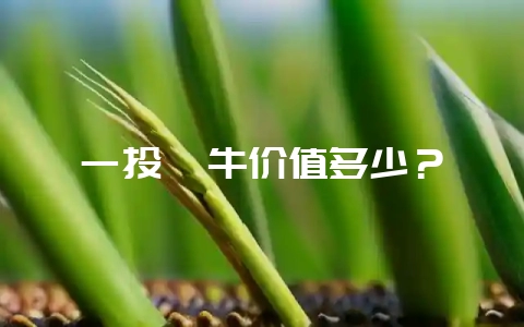 一头牦牛价值多少？-会东网