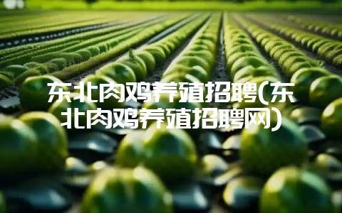 东北肉鸡养殖招聘(东北肉鸡养殖招聘网)-会东网