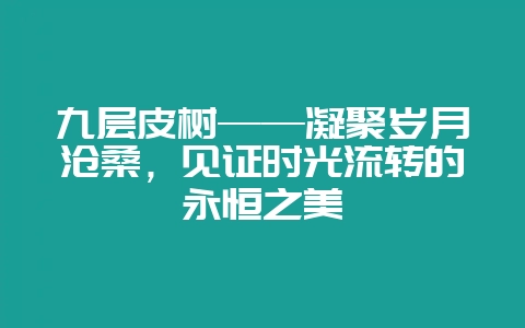 九层皮树——凝聚岁月沧桑，见证时光流转的永恒之美-会东网