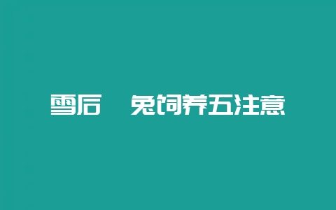 雪后獭兔饲养五注意-会东网