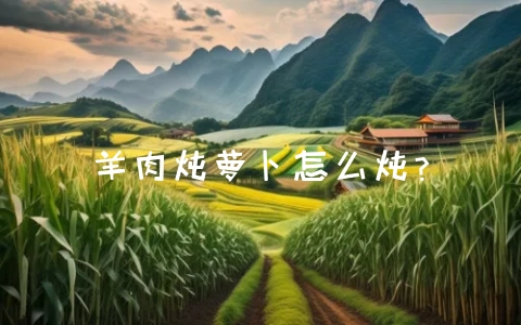 羊肉炖萝卜怎么炖？-会东网